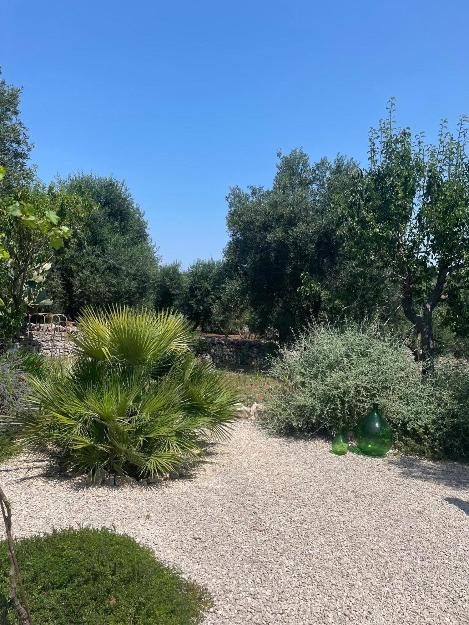 Bed and Breakfast Casa Della Scrittrice Остуни Номер фото